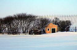 In den Gabrissen in Stammersdorf (Wien)