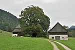 Winterlinde (Tilia cordata)