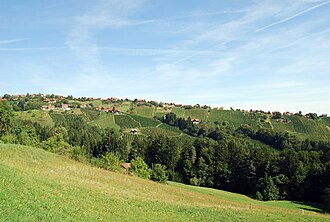 Stmk.: Weingärten Hochgrail