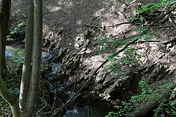 Geologischer Aufschluss „Kalkklippe“