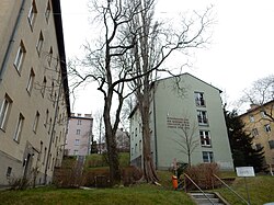 Ernst-Karl-Winter-Hof