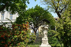 Kornelkirsche (Cornus mas)