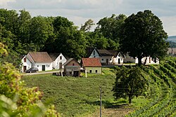 Vorstadt in Neuruppersdorf, Wildendürnbach (Wildendürnbach)