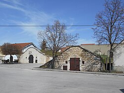 Kellergasse Winden in Winden am See