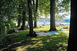 10 Winter-Linden in Velden