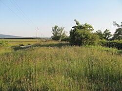 Sommer-Feenkrebse und Trockenrasen
