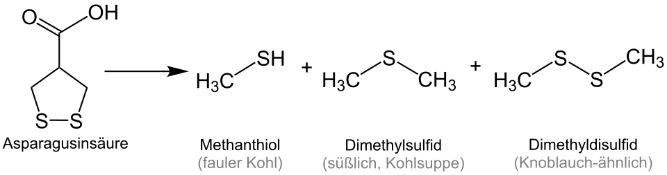 Zerfall von Asparagusinsäure zu schwefelhaltigen Verbindungen
