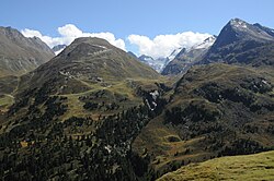 Zirbenwald in Obergurgl