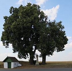 in Obermixnitz (Weitersfeld)