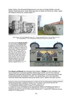 Image of the Page - 310 - in Adelsgeschlechter Hagen