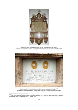 Image of the Page - 339 - in Adelsgeschlechter Hagen