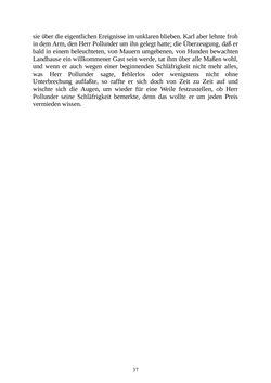 Image of the Page - 37 - in Amerika