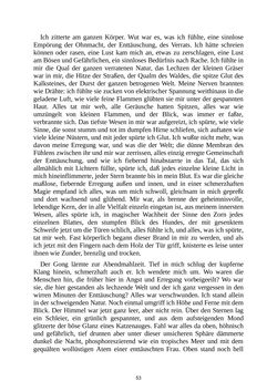 Bild der Seite - 53 - in Amok - Novellen einer Leidenschaft