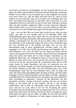 Bild der Seite - 56 - in Amok - Novellen einer Leidenschaft