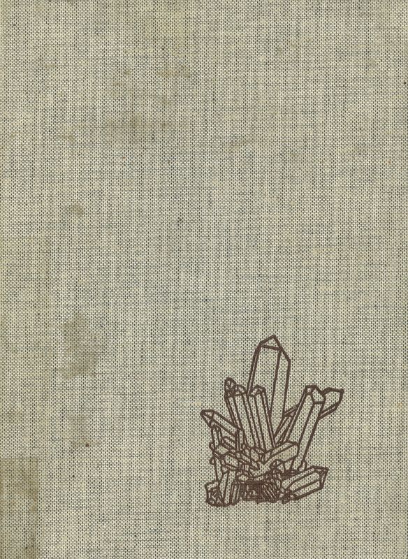 Cover of the book 'Das große Mineralienbuch'