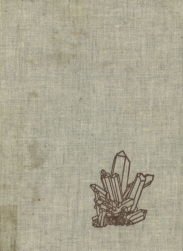 Cover of the book 'Das große Mineralienbuch'