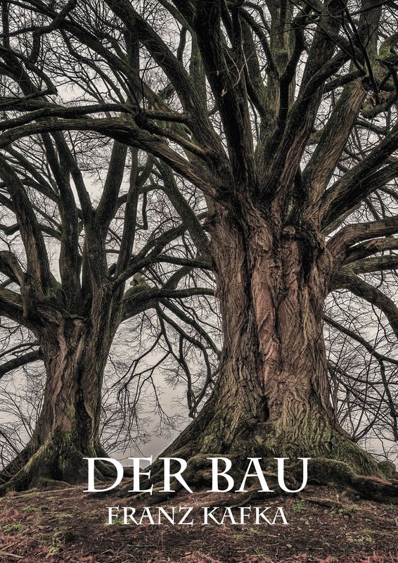 Cover of the book 'Der Bau'