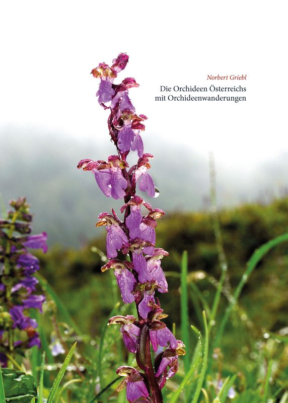 Cover of the book 'Die Orchideen Österreichs - mit Orchideenwanderungen'