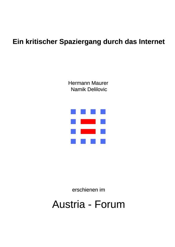 Cover of the book 'Ein kritischer Spaziergang durch das Internet'