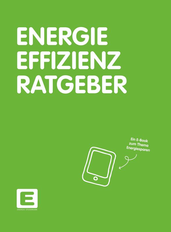 Cover of the book 'Energie Effizienz Ratgeber'