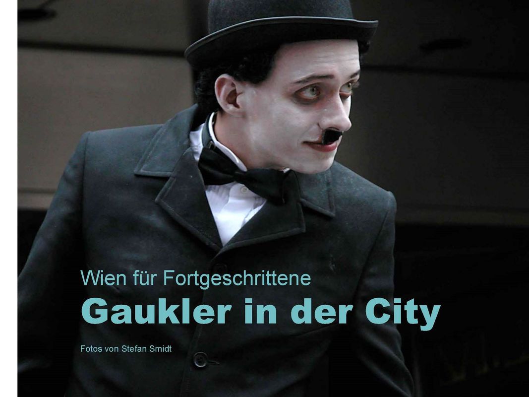 Bucheinband von 'Wien für Fortgeschrittene - Gaukler in der City'