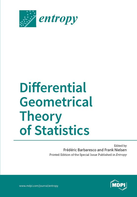 Bucheinband von 'Differential Geometrical Theory of Statistics'