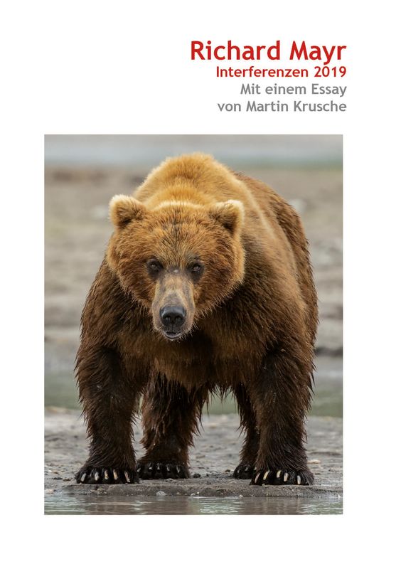 Cover of the book 'Richard Mayr - Interferenzen 2019'