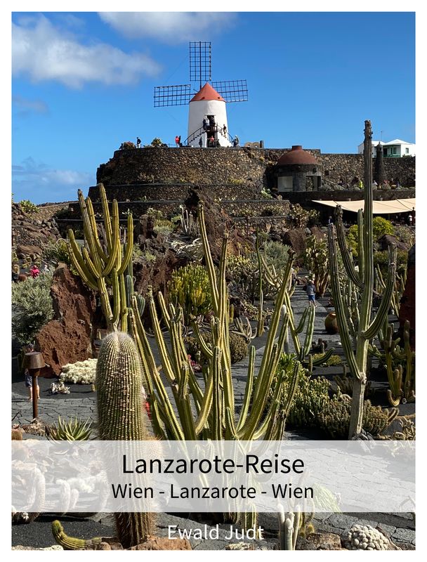 Cover of the book 'Lanzarote Reise - Wien - Lanzarote - Wien'