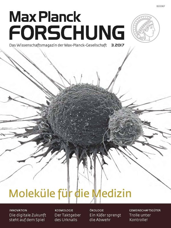 Bucheinband von 'Max Planck Forschung - Das Wissenschaftsmagazin der Max-Planck-Gesellschaft, Band 3'