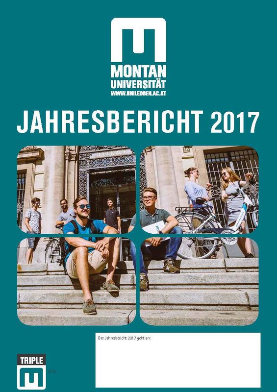 Bucheinband von 'Triple M - Jahresbericht 2017'