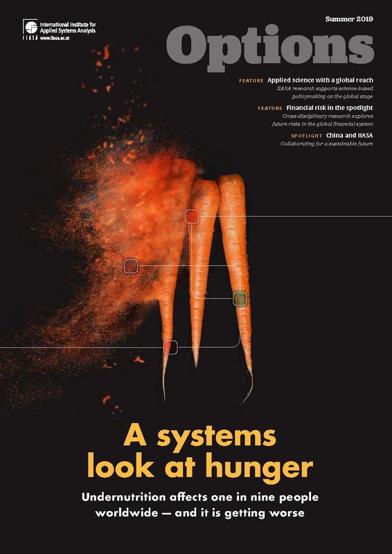 Cover of the book 'options, Volume summer 2019'