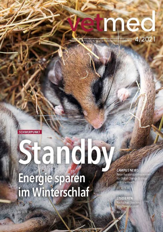 Bucheinband von 'vetmed - Das Magazin der Veterinärmedizinischen Universität Wien und der Gesellschaft der Freunde der Veterinärmedizinischen Universität Wien, Band 4/2021'