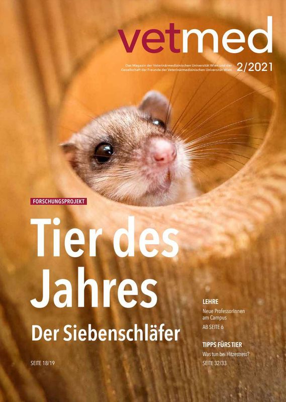 Bucheinband von 'vetmed - Das Magazin der Veterinärmedizinischen Universität Wien und der Gesellschaft der Freunde der Veterinärmedizinischen Universität Wien, Band 2/2021'