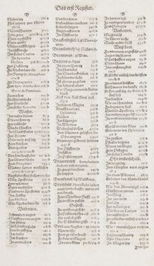 Bild der Seite - Register I - 23 - in Artzney Buch