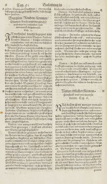 Image of the Page - 6 - in Artzney Buch