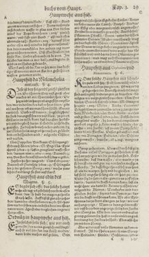 Image of the Page - 29 - in Artzney Buch