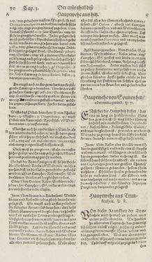 Bild der Seite - 30 - in Artzney Buch