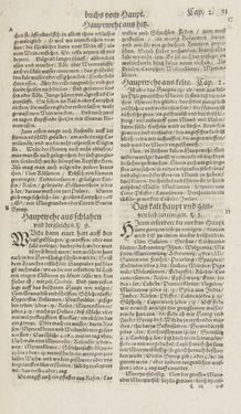 Bild der Seite - 31 - in Artzney Buch