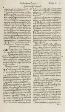 Image of the Page - 33 - in Artzney Buch