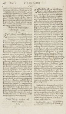 Bild der Seite - 40 - in Artzney Buch