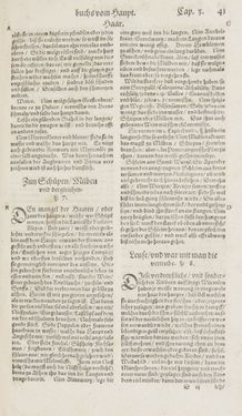 Bild der Seite - 41 - in Artzney Buch