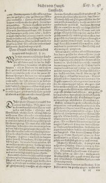 Bild der Seite - 43 - in Artzney Buch