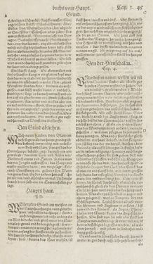 Bild der Seite - 45 - in Artzney Buch