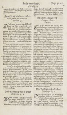 Bild der Seite - 47 - in Artzney Buch