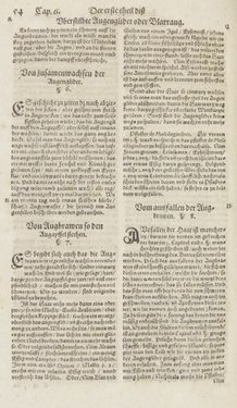 Bild der Seite - 54 - in Artzney Buch