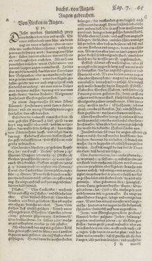 Image of the Page - 65 - in Artzney Buch