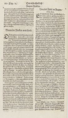 Image of the Page - 66 - in Artzney Buch
