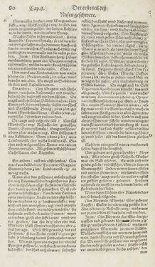 Bild der Seite - 80 - in Artzney Buch