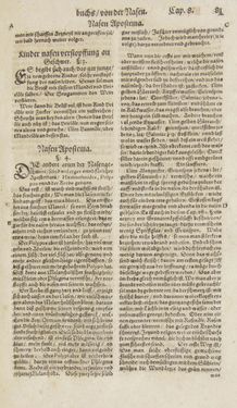 Bild der Seite - 81 - in Artzney Buch