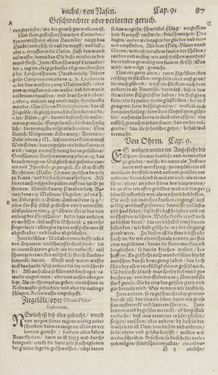 Bild der Seite - 87 - in Artzney Buch